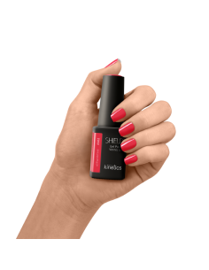 Shield 462 2