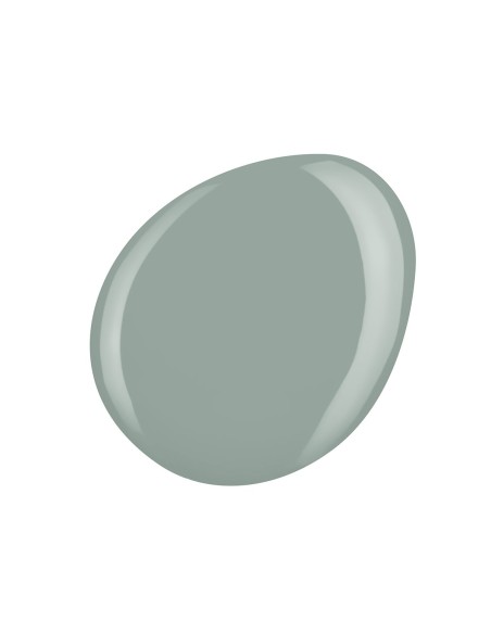 SHIELD 15ML  543