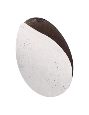 STALEKS RICAMBIO PODODISC EXPERT L GRANA 100