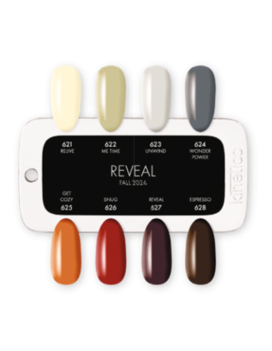 COLOR CHART  REVEAL