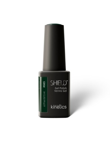 Kinetics Shield Mini Display Fusion