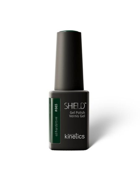 Kinetics Shield Mini Display Fusion
