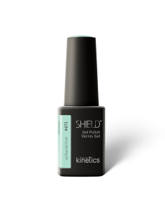 Kinetics Shield Mini Display Sensory 2